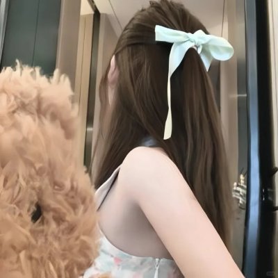 笨鸟